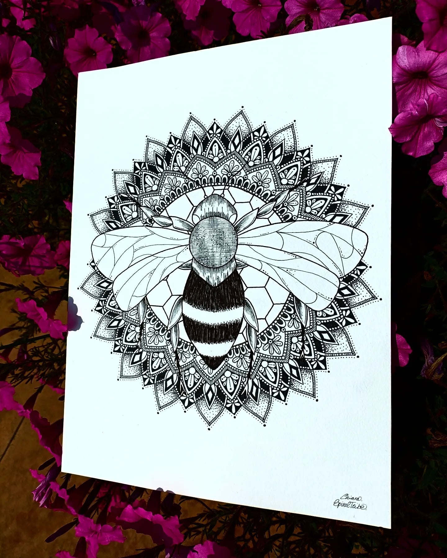 Wir danken der API 🐝