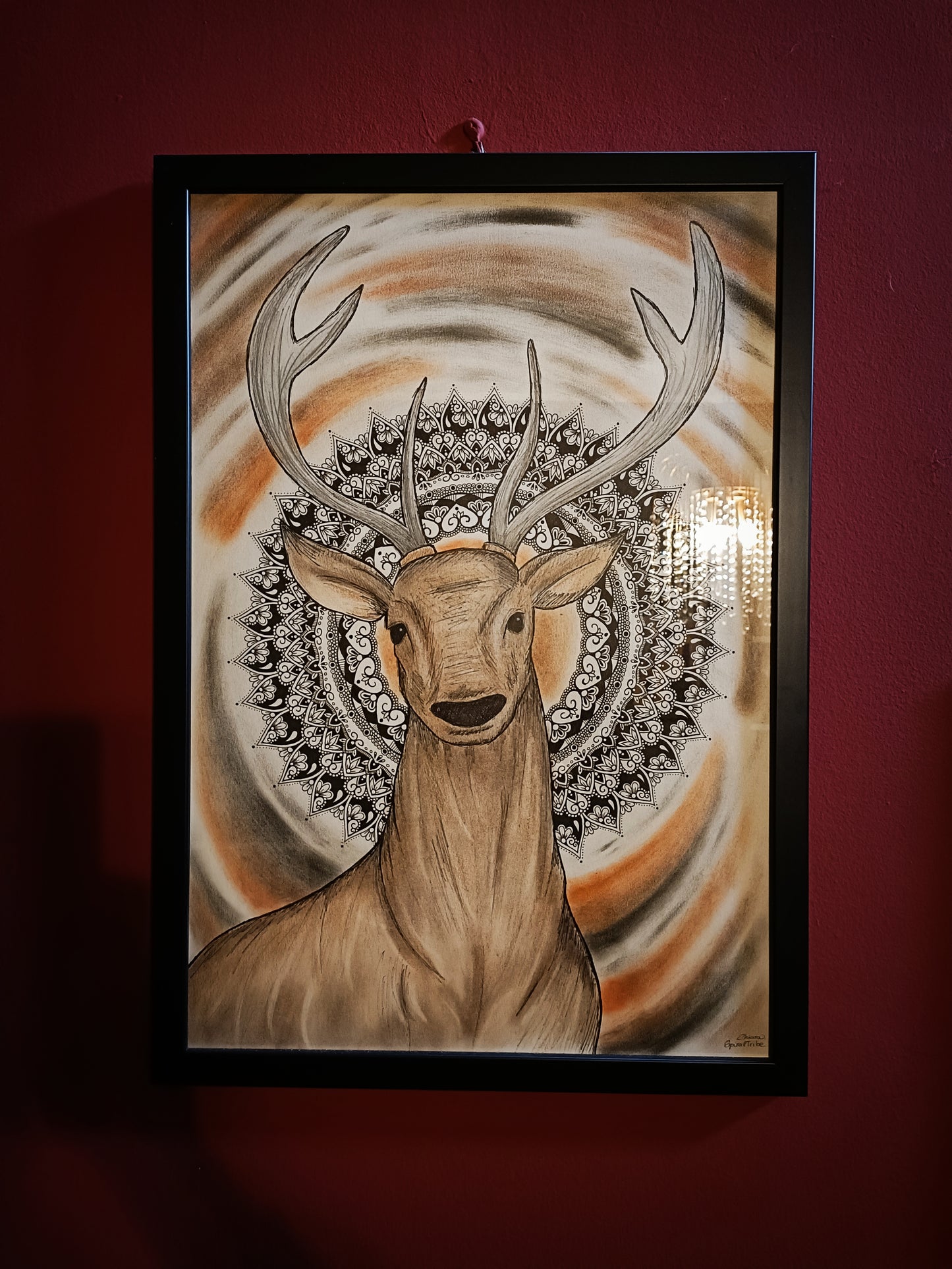 Cervo 🦌