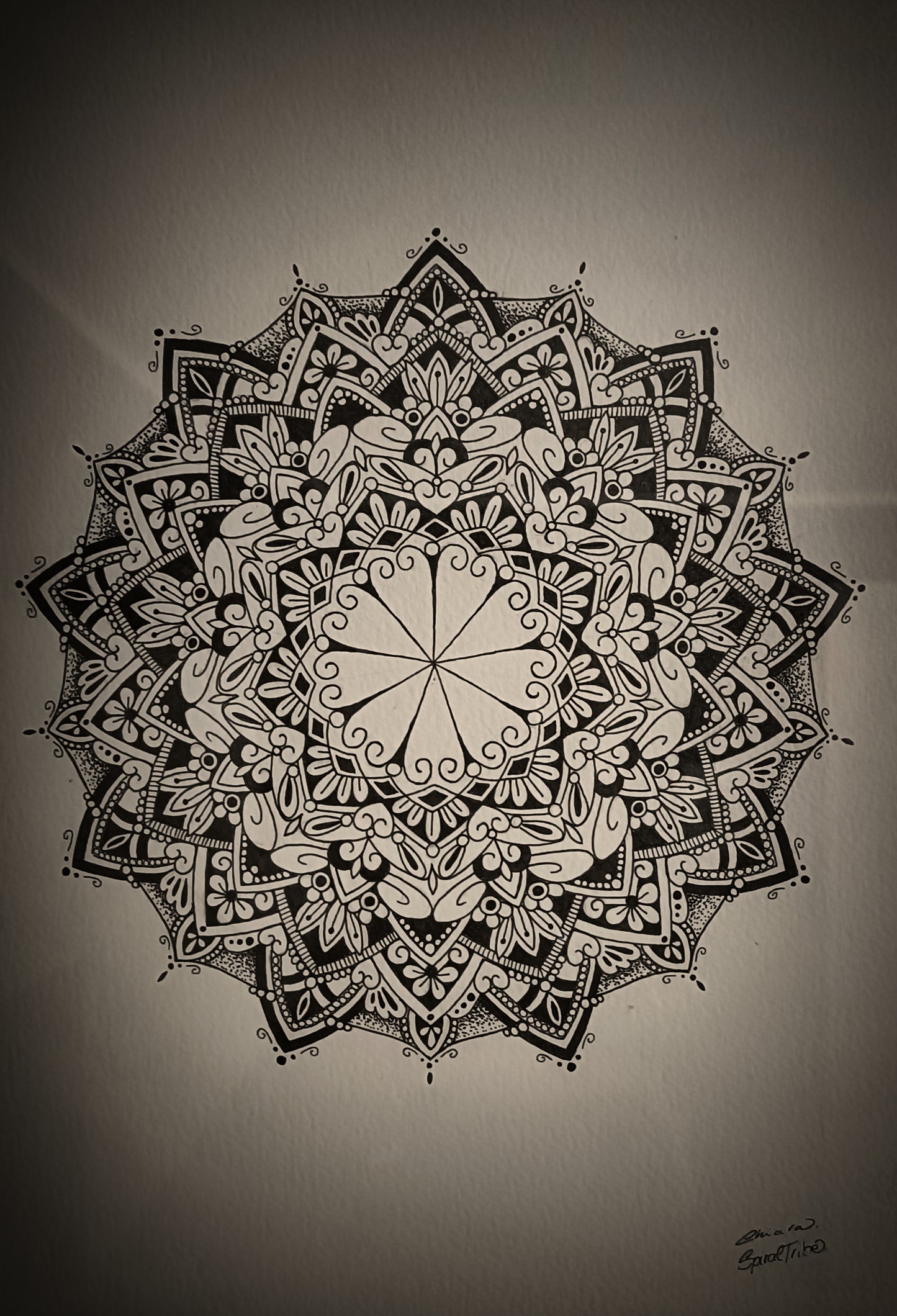 Circle Mandala 🌼